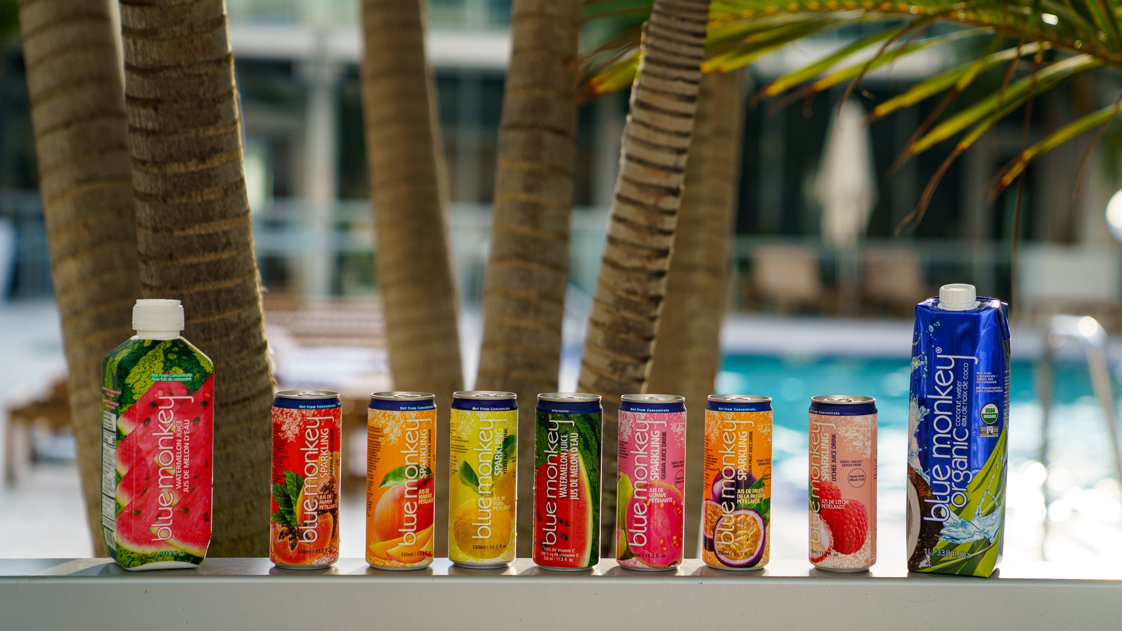 Blue Monkey Products by Pool